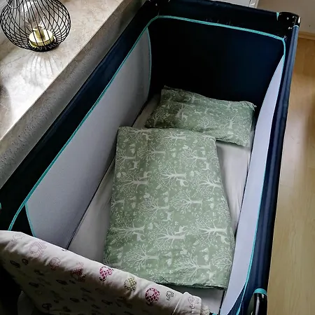 Lejlighed In Naehe Zum Sachsenring Am Fusse Zum Erzgebirge *