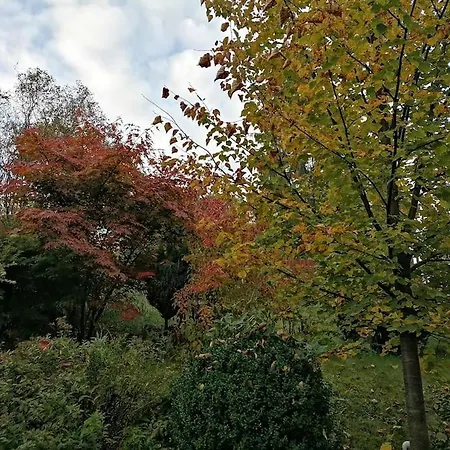 In Naehe Zum Sachsenring Am Fusse Zum Erzgebirge Lejlighed