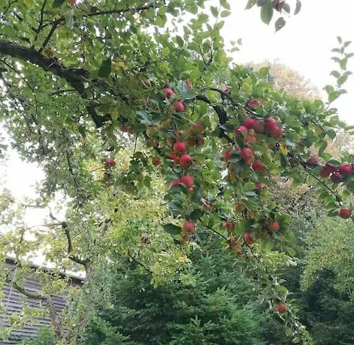 In Naehe Zum Sachsenring Am Fusse Zum Erzgebirge * Gersdorf (Zwickau)